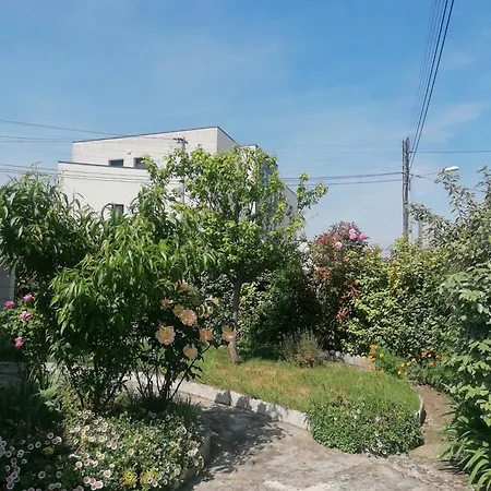La Petite Maison De Holiday home Royan