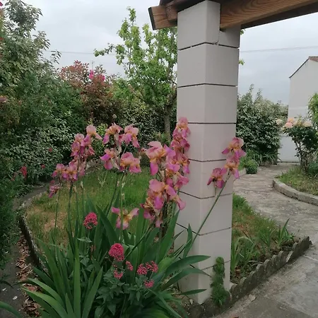 La Petite Maison De * Royan
